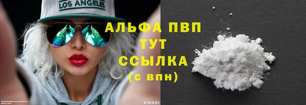 гидра Зеленокумск