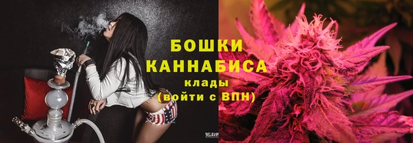 гидра Зеленокумск