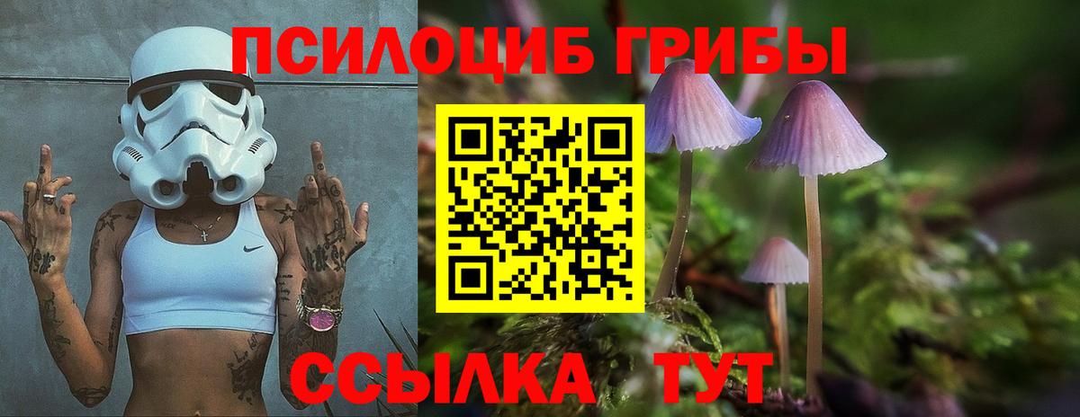 Псилоцибиновые грибы мицелий  Галлюциногенные грибы Psilocybe  Истра  Вход с VPN 
